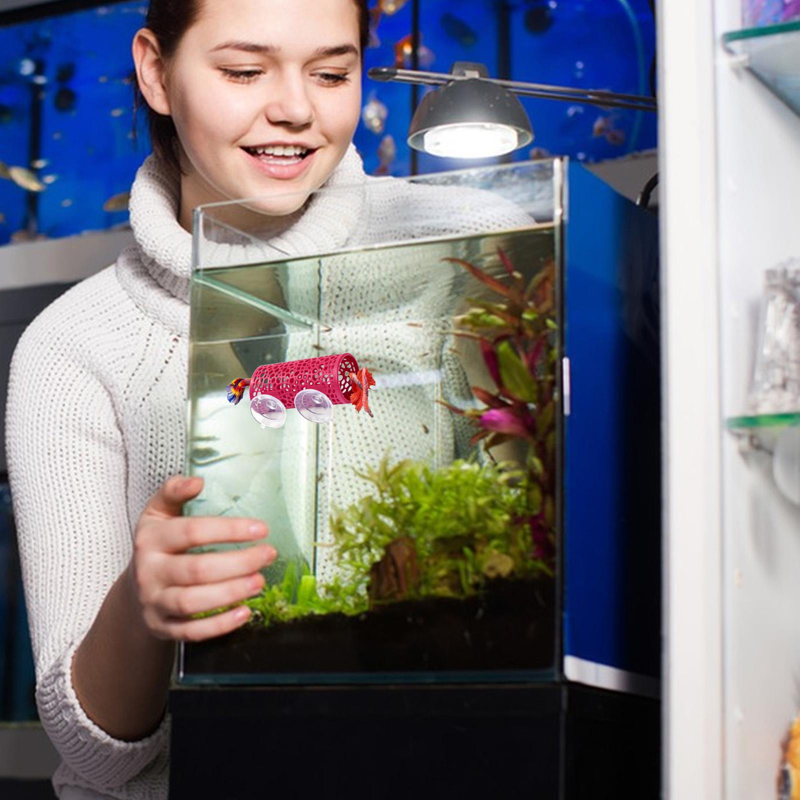 Betta Fish Tank - Betta-Habitat, Ruheplatz, Ornament, Fischtunnel, Spielzeug für