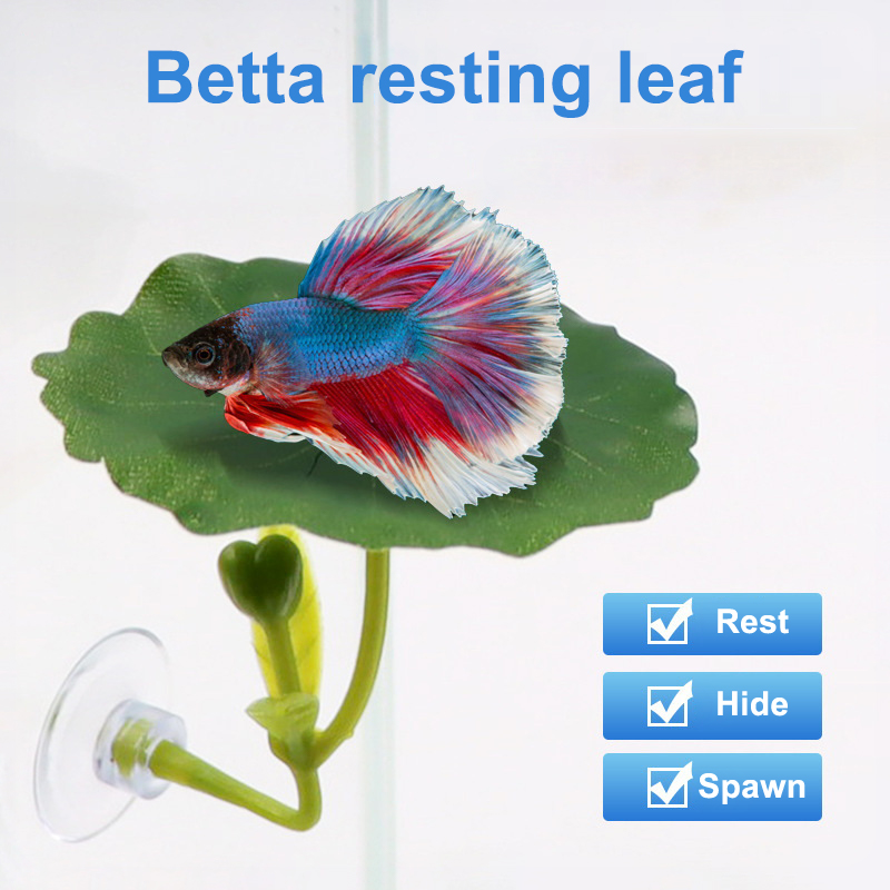 Betta Fish Tank - (Ce14)1/5PC Grüne Blatt-Hängematte für Betta-Fische, stressreduzierende,