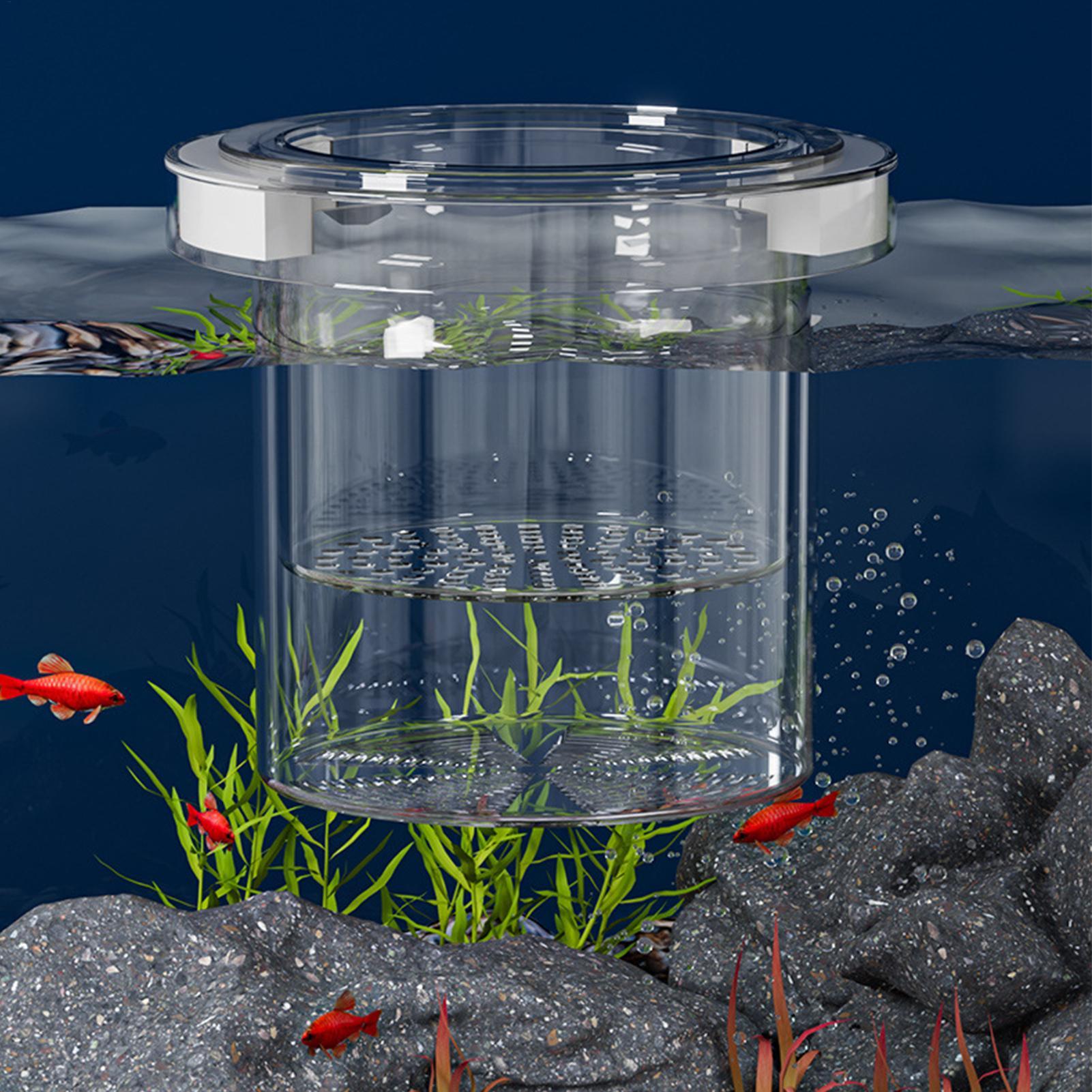 Schwimmende Fischzucht-Isolier – Betta Fish Tank Bewertung und Preis