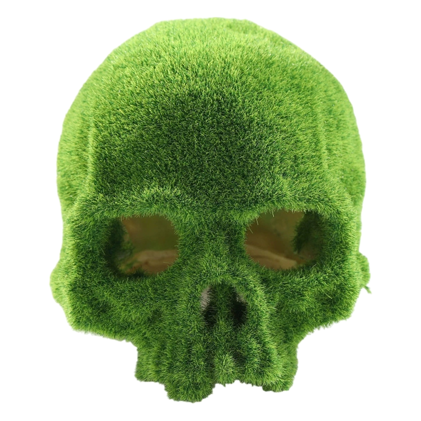 Moosiger Totenkopf als Aquariu – Betta Fish Tank Bewertung und Preis