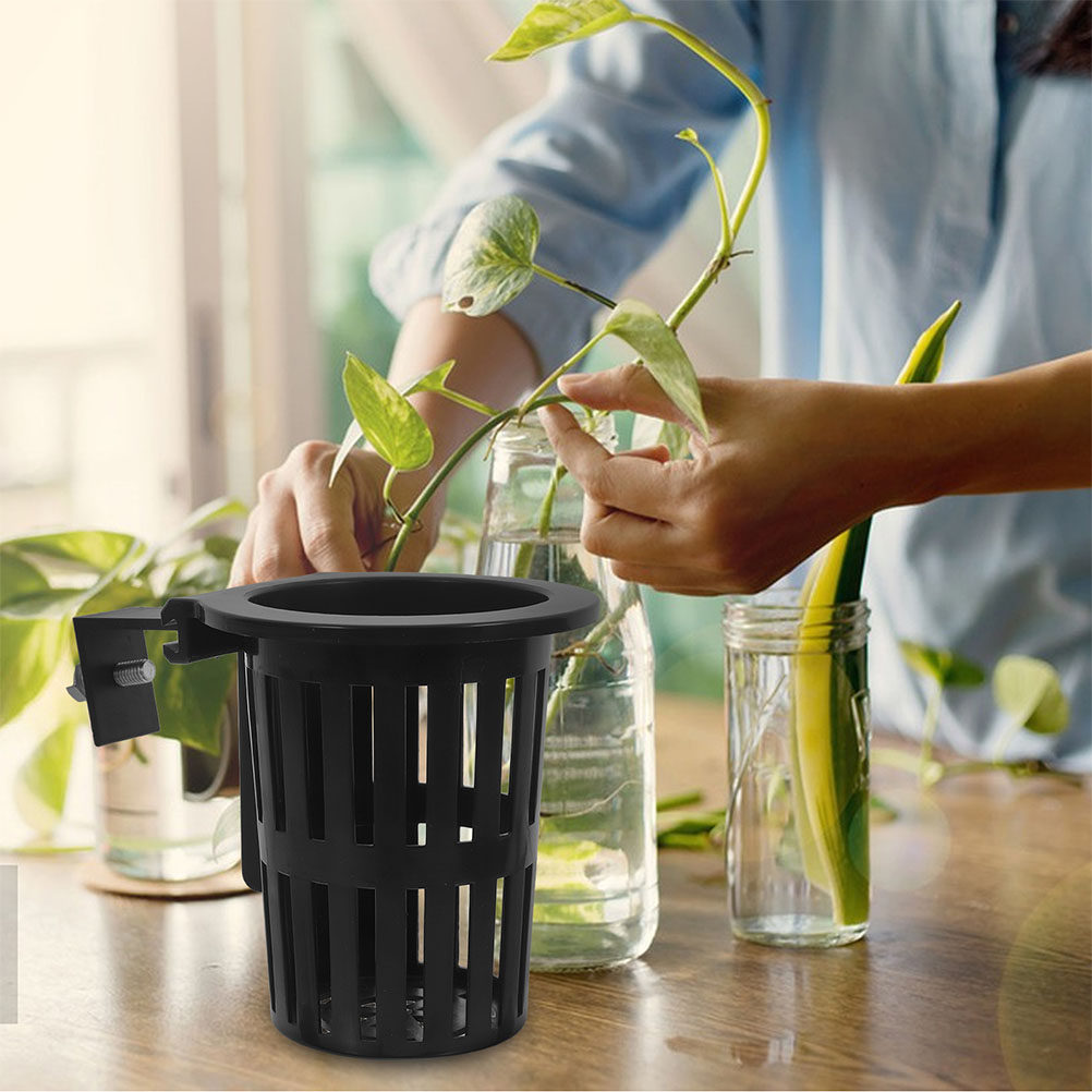 6 Stück Hydroponische Anzuchtk – Aquarium Plants Bewertung und Preis