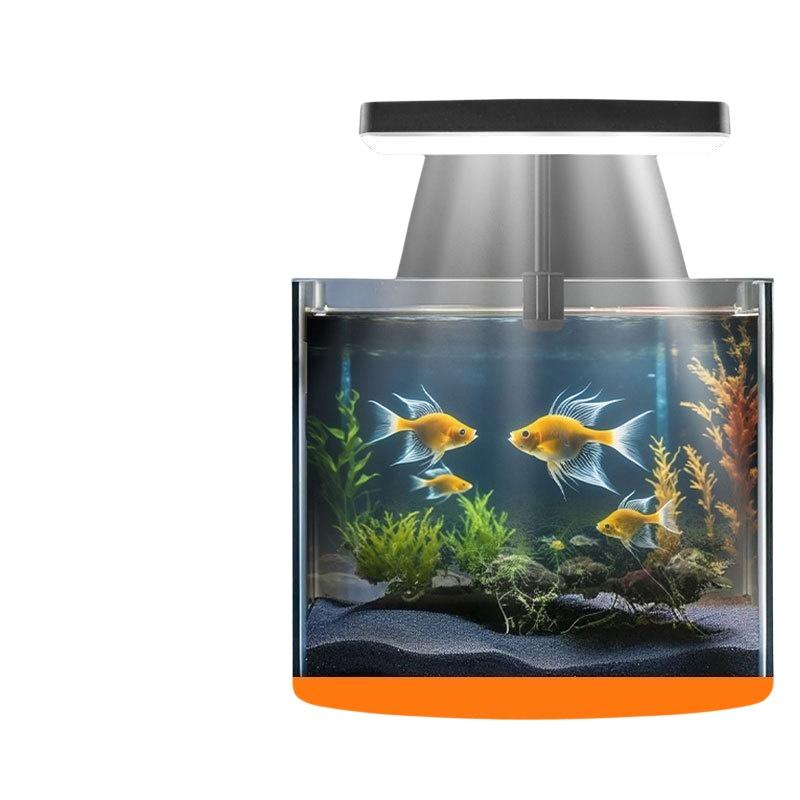 USB-Aquarium-Clipleuchte mit F – Aquarium Light Bewertung und Preis