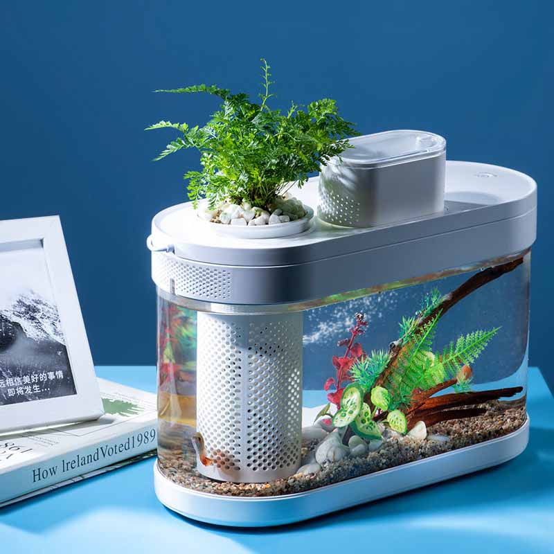 Smart Aquarium für Xiaomi Miji – Xiaomi Aquarium Fish Tank Bewertung und Preis