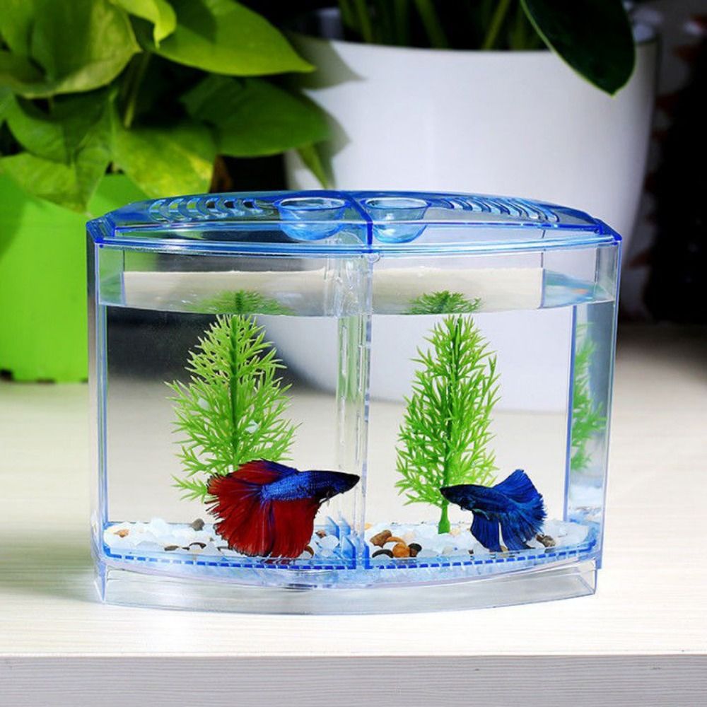Transparentes Betta-Aquarium,  – Betta Fish Tank Bewertung und Preis