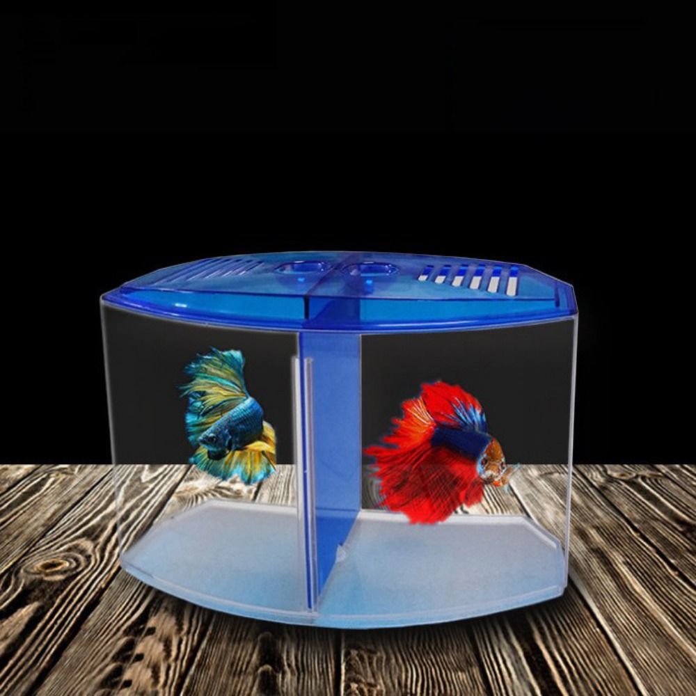 Transparentes Betta-Aquarium,  – Betta Fish Tank Bewertung und Preis