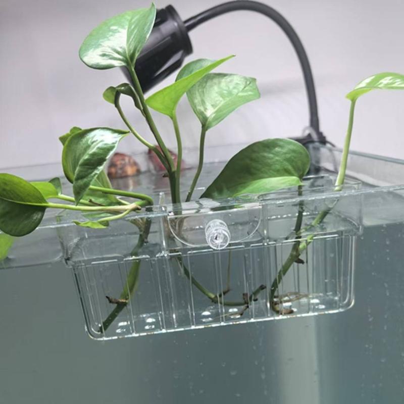 Hydroponischer Pflanzenkorb au – Fish Aquarium Home Bewertung und Preis