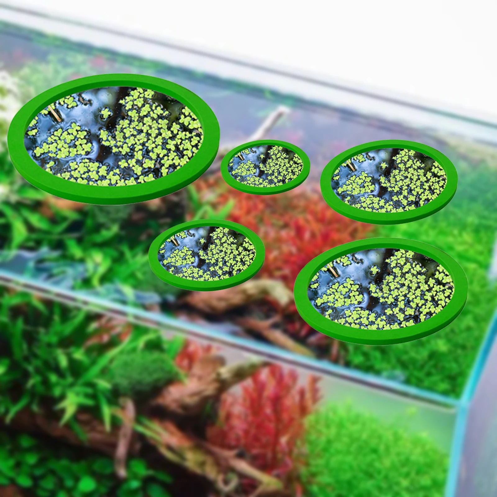 5Pcs EVA Fisch Fütterung Ring  – Fish Aquarium Home Bewertung und Preis